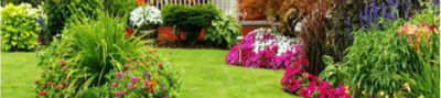 Proyectos de jardín